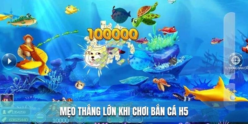 Mẹo nhỏ giúp ngư thủ thắng lớn khi săn cá