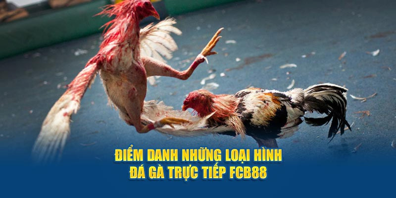 Những loại hình trong danh sách trực tiếp đá gà C2