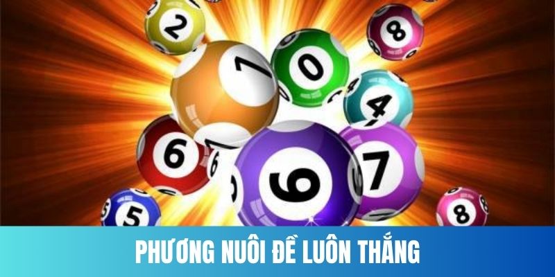 Phương pháp nuôi đề bách phát bách trúng cho “chiếu mới”