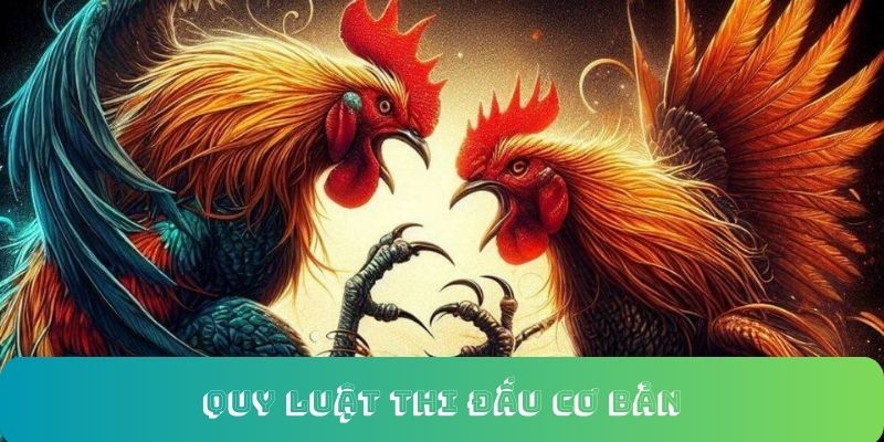 Trận đấu sẽ chính thức kết thúc khi có chiến kê bị hạ gục