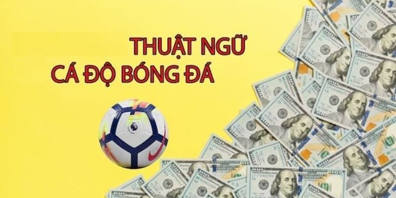 Ký hiệu về cá cược bóng đá 